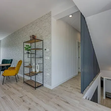 فيلة Ivy بوريتش