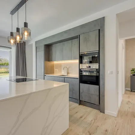 فيلة Ivy بوريتش