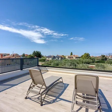 Ivy فيلة بوريتش